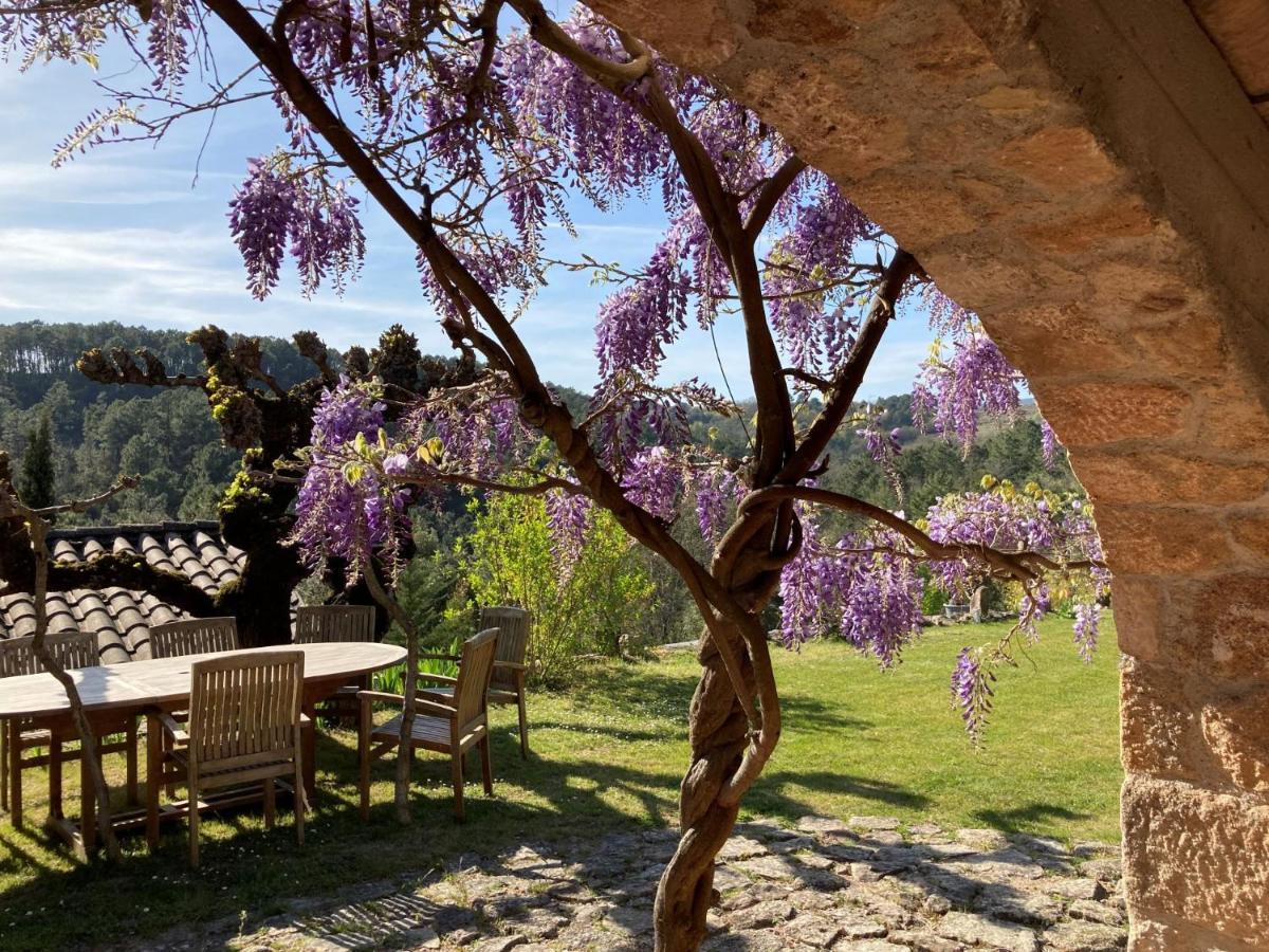 Mas De La Giralde - B&B Payzac  Exteriér fotografie